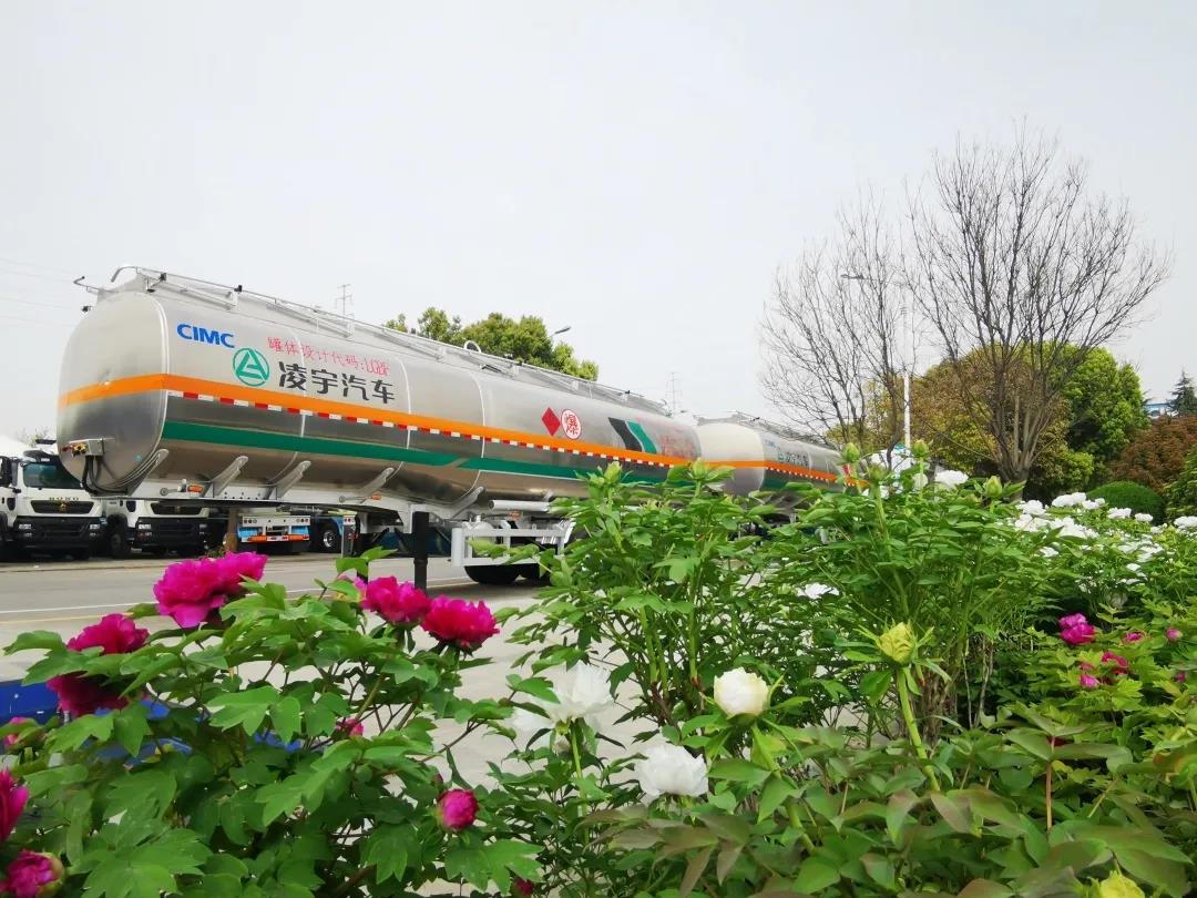 2025新澳门免费原料宝典