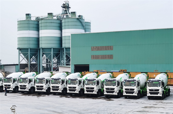 2025新澳门免费原料宝典