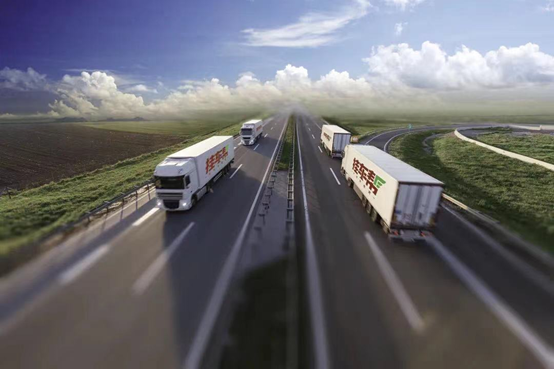 2025新澳门免费原料宝典