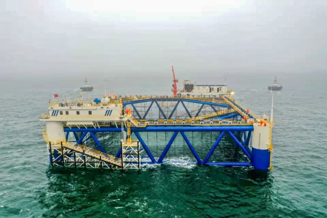 2025新澳门免费原料宝典