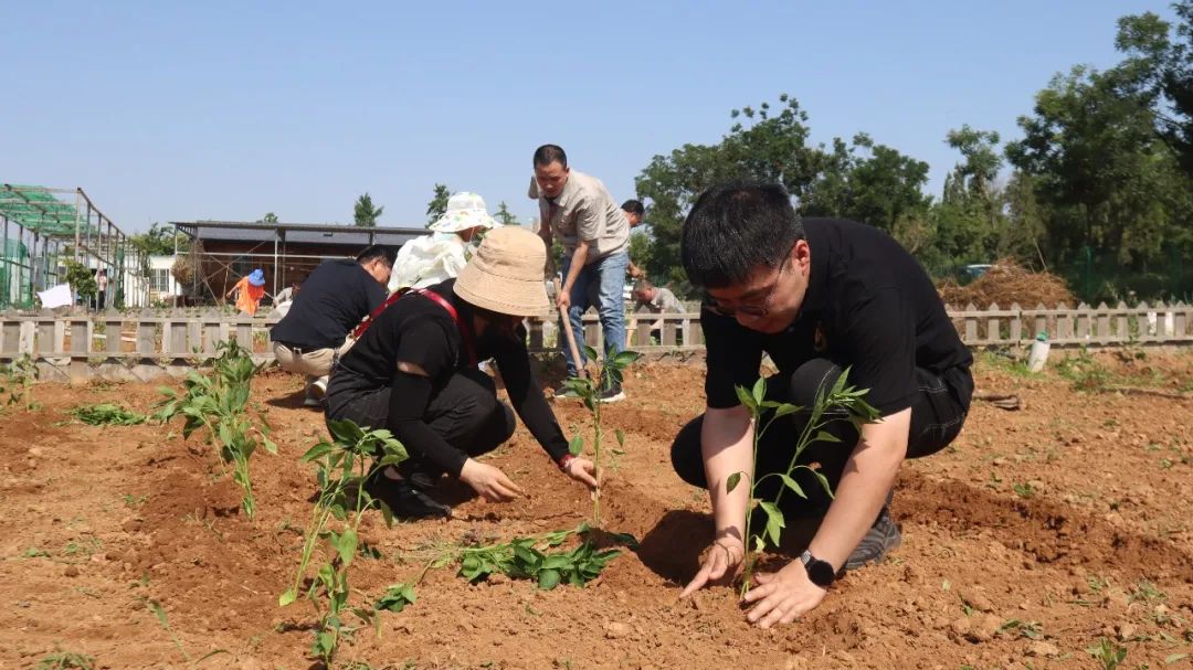 2025新澳门免费原料宝典