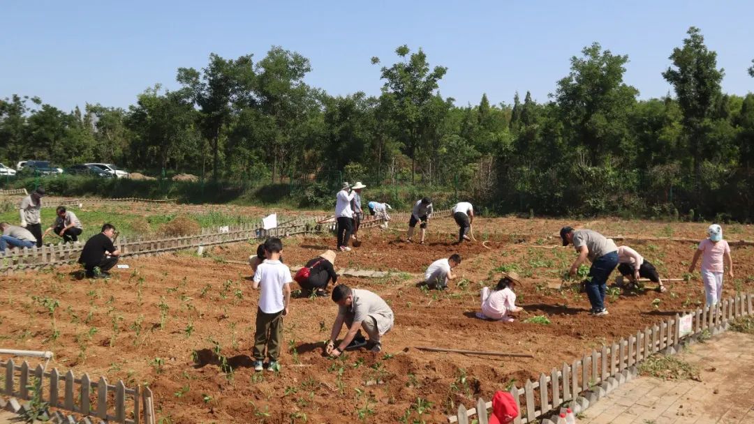 2025新澳门免费原料宝典