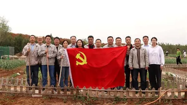 2025新澳门免费原料宝典