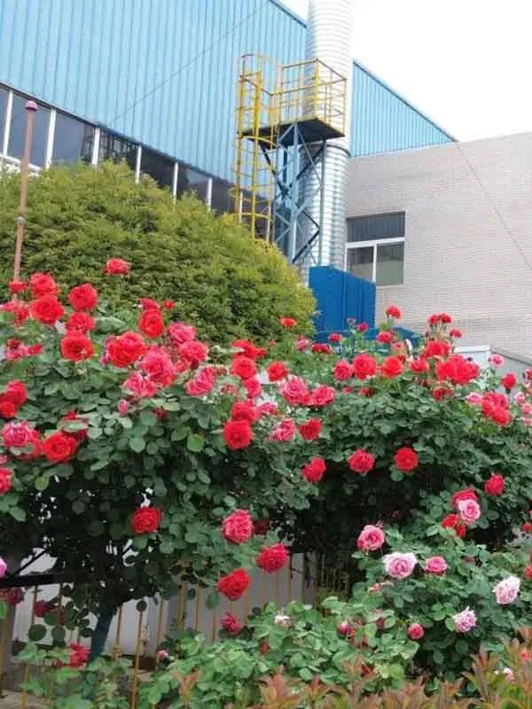 2025新澳门免费原料宝典