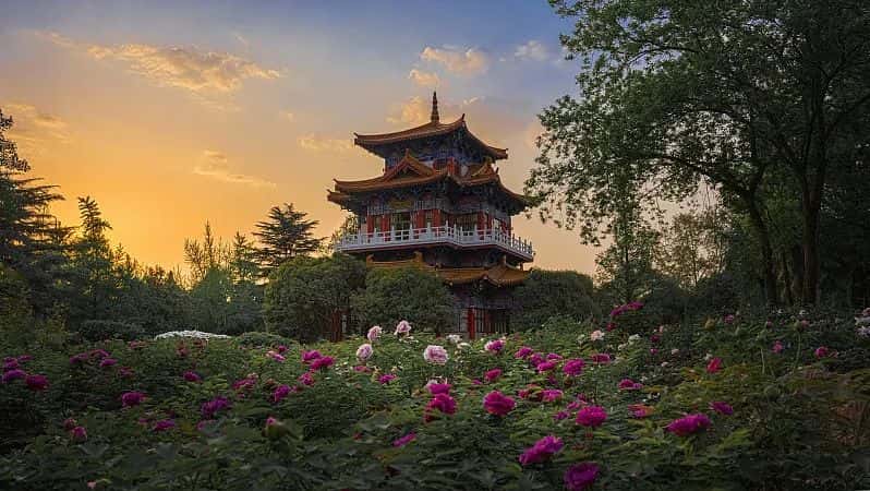 2025新澳门免费原料宝典