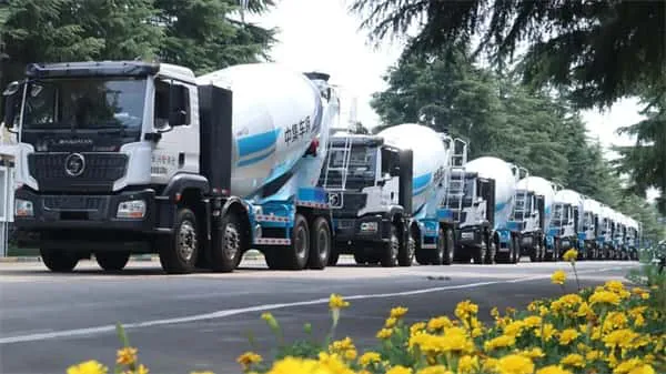 2025新澳门免费原料宝典