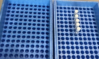 2025新澳门免费原料宝典